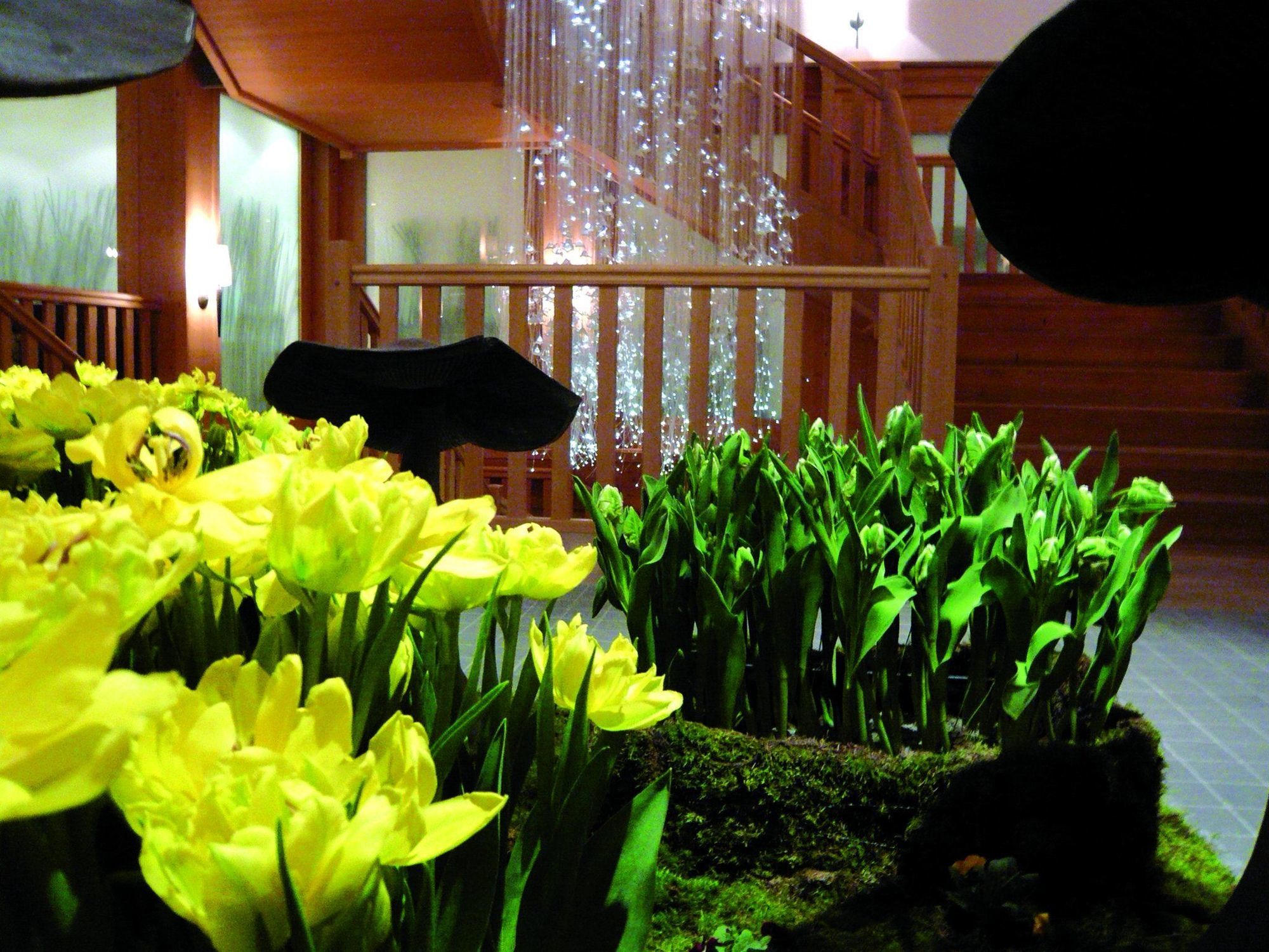 Chalet Royalp Hotel & Spa Villars-sur-Ollon Nội địa bức ảnh